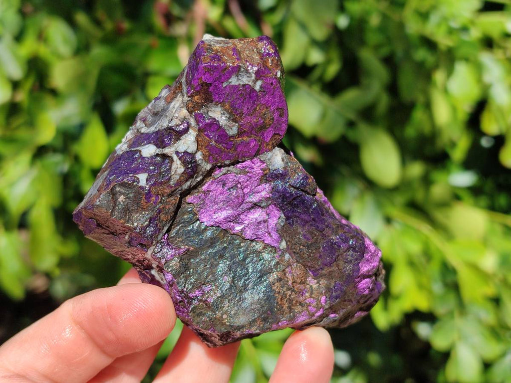 Natural Metallic Purpurite Specimens x 6 From Erongo, Namibia - Toprock Gemstones and Minerals 
