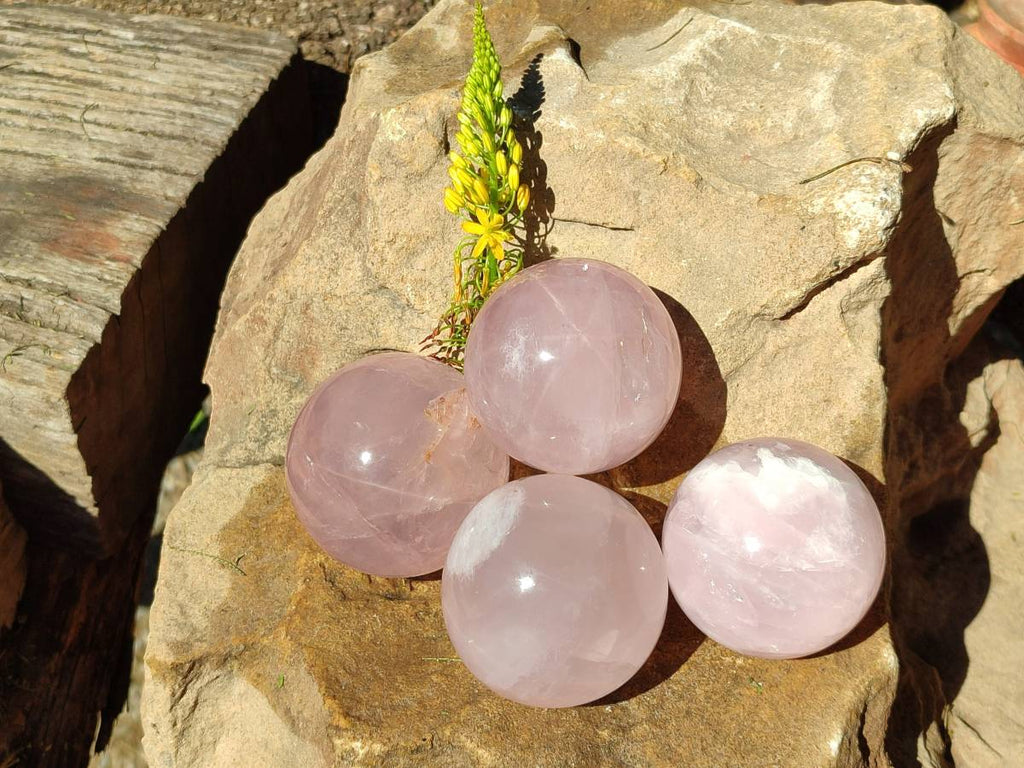 Polished Rose Quartz Spheres x 4 From Madagascar - Toprock Gemstones and Minerals 