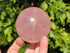 Polished Rose Quartz Spheres x 4 From Madagascar - Toprock Gemstones and Minerals 