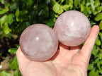 Polished Rose Quartz Spheres x 4 From Madagascar - Toprock Gemstones and Minerals 