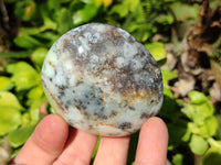 Polished Dendritic Opal Palm Stones x 12 From Madagascar