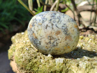 Polished Dendritic Opal Palm Stones x 12 From Madagascar