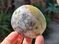 Polished Dendritic Opal Palm Stones x 12 From Madagascar
