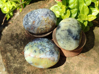 Polished Dendritic Opal Palm Stones x 12 From Madagascar