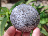 Polished Dendritic Opal Palm Stones x 12 From Madagascar