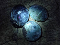 Polished Dendritic Opal Palm Stones x 12 From Madagascar
