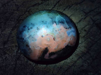 Polished Dendritic Opal Palm Stones x 12 From Madagascar