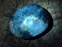 Polished Dendritic Opal Palm Stones x 12 From Madagascar