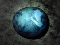 Polished Dendritic Opal Palm Stones x 12 From Madagascar