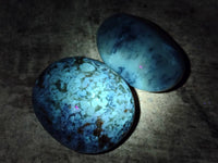 Polished Dendritic Opal Palm Stones x 12 From Madagascar