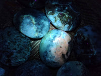 Polished Dendritic Opal Palm Stones x 12 From Madagascar