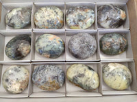 Polished Dendritic Opal Palm Stones x 12 From Madagascar