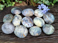 Polished Dendritic Opal Palm Stones x 12 From Madagascar