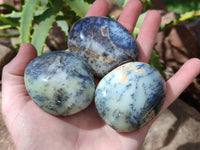 Polished Dendritic Opal Palm Stones x 12 From Madagascar