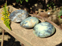 Polished Dendritic Opal Palm Stones x 12 From Madagascar