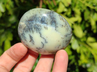 Polished Dendritic Opal Palm Stones x 12 From Madagascar