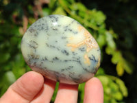 Polished Dendritic Opal Palm Stones x 12 From Madagascar