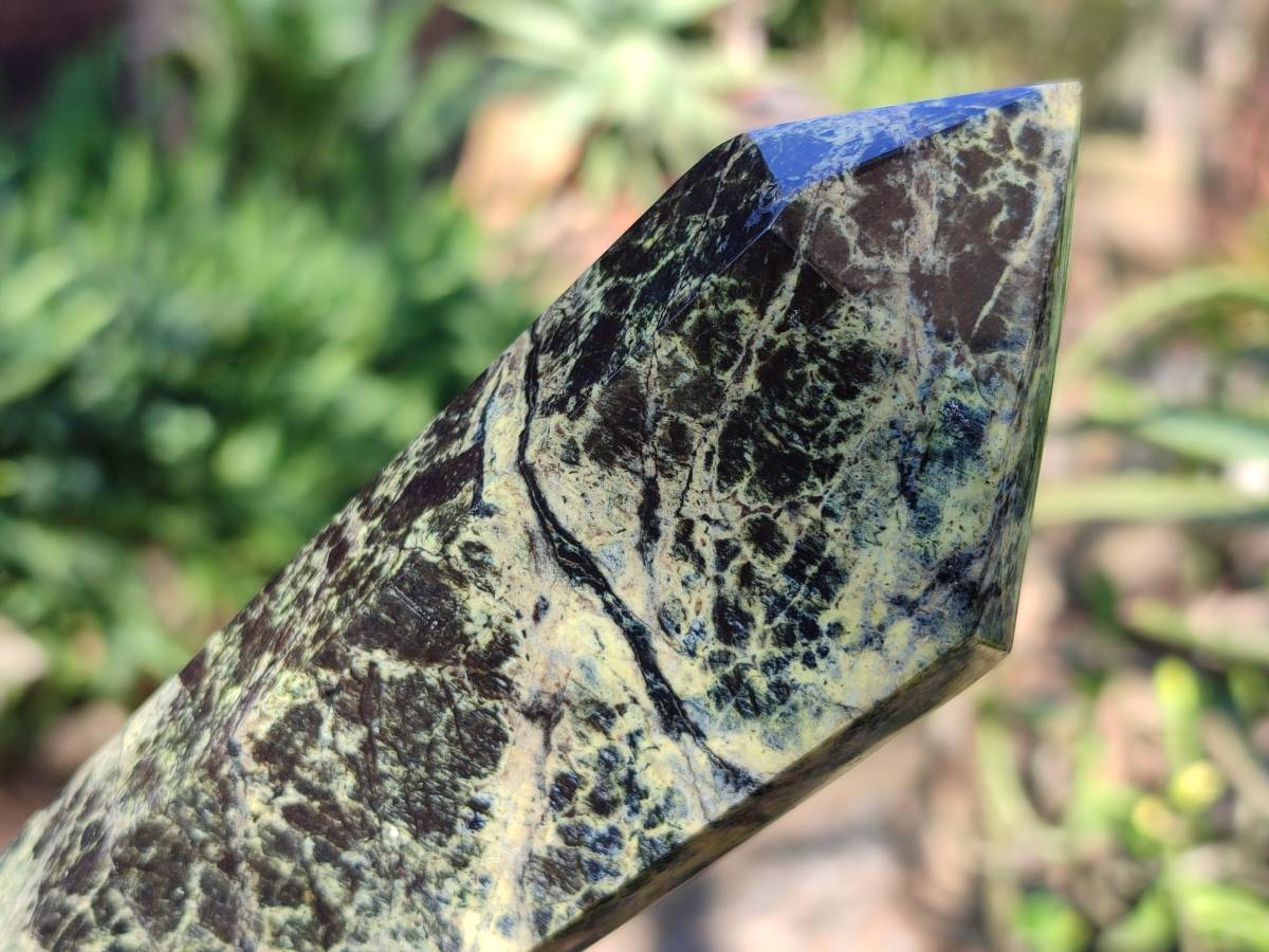 Polished Leopard Stone Double Terminated Points x 3 From Zimbabwe - Toprock Gemstones and Minerals 