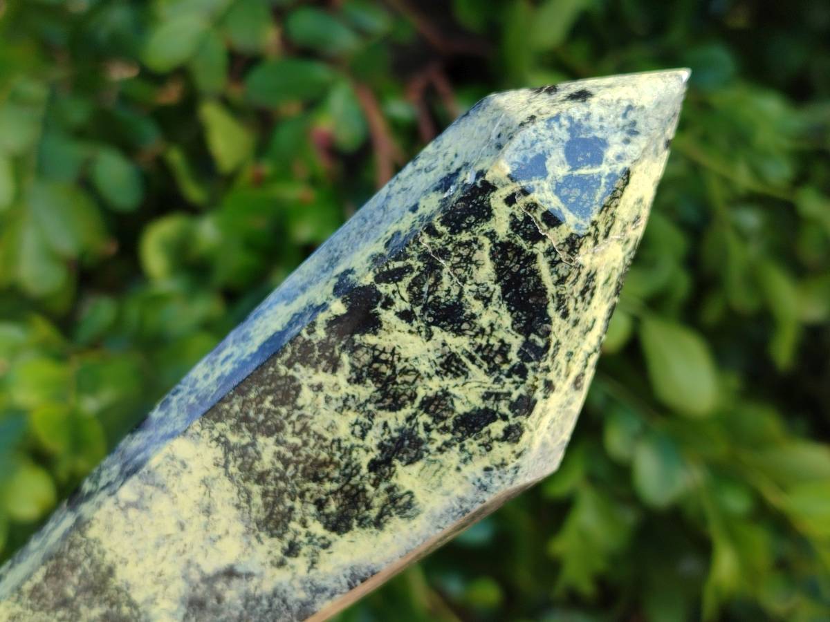 Polished Leopard Stone Double Terminated Points x 3 From Zimbabwe - Toprock Gemstones and Minerals 