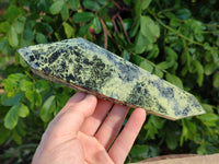 Polished Leopard Stone Double Terminated Points x 3 From Zimbabwe - Toprock Gemstones and Minerals 