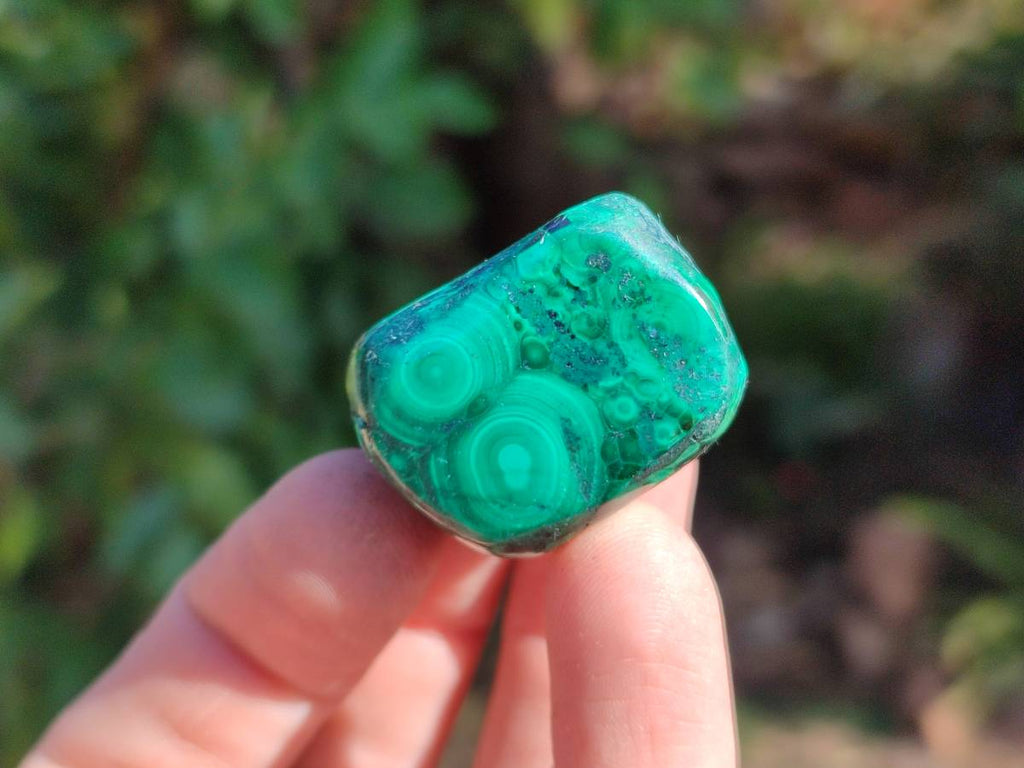 Polished Flower Banded Malachite Free Forms x 35 From Congo - Toprock Gemstones and Minerals 