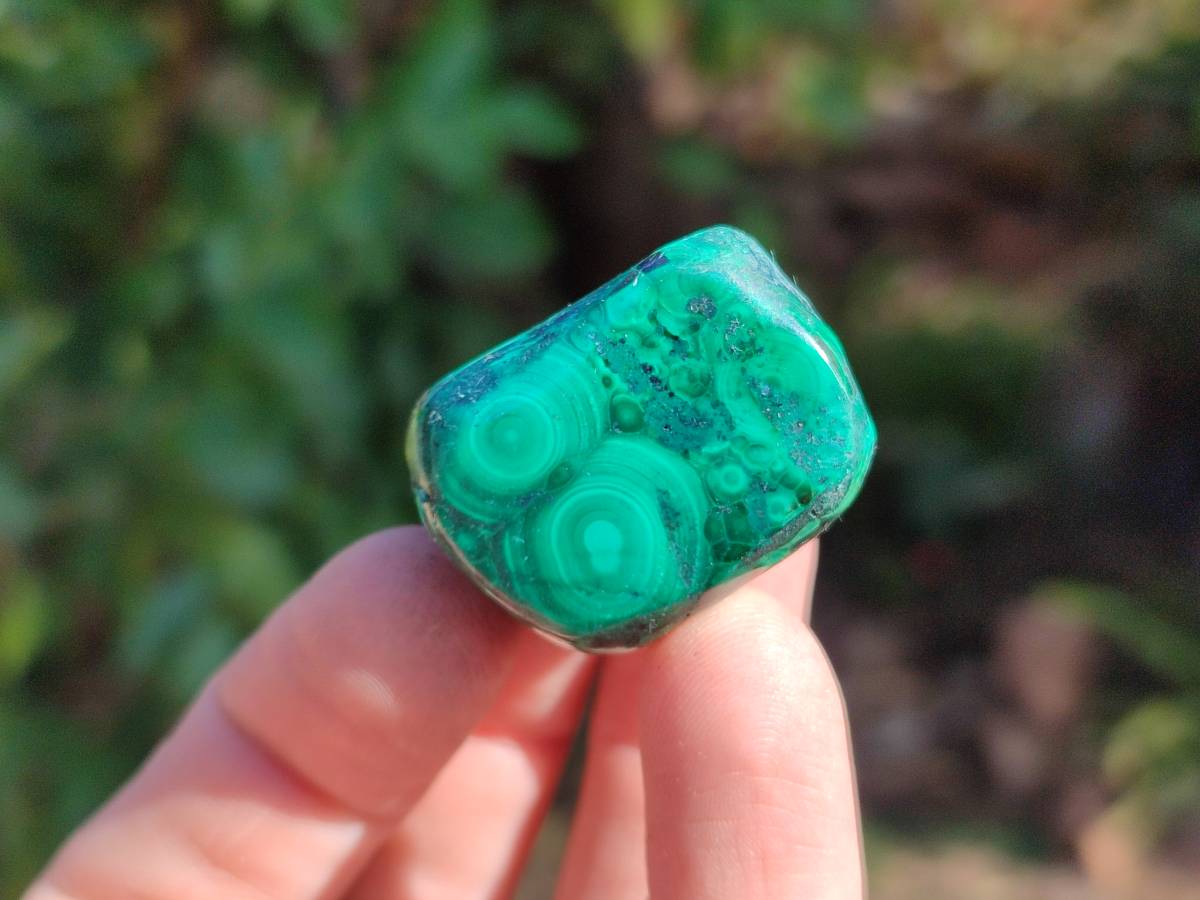Polished Flower Banded Malachite Free Forms x 35 From Congo - Toprock Gemstones and Minerals 