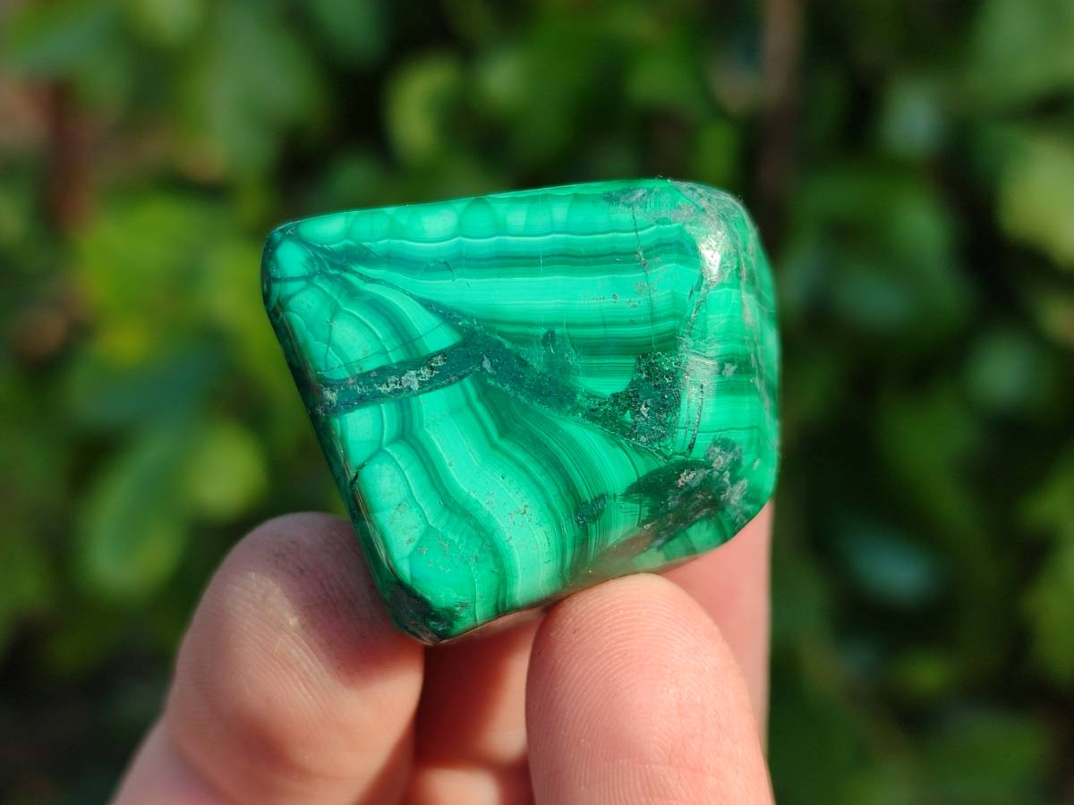 Polished Flower Banded Malachite Free Forms x 35 From Congo - Toprock Gemstones and Minerals 