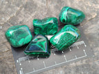 Polished Flower Banded Malachite Free Forms x 35 From Congo - Toprock Gemstones and Minerals 