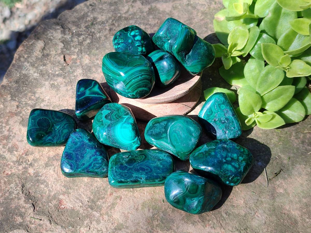 Polished Flower Banded Malachite Free Forms x 35 From Congo - Toprock Gemstones and Minerals 