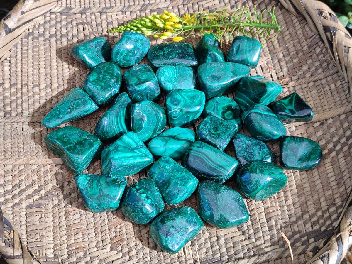 Polished Flower Banded Malachite Free Forms x 35 From Congo - Toprock Gemstones and Minerals 