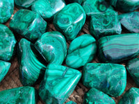 WEB TEMPLATE - MALACHITE FLOWER - Toprock Gemstones and Minerals 
