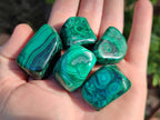 Polished Flower Banded Malachite Free Forms x 35 From Congo - Toprock Gemstones and Minerals 
