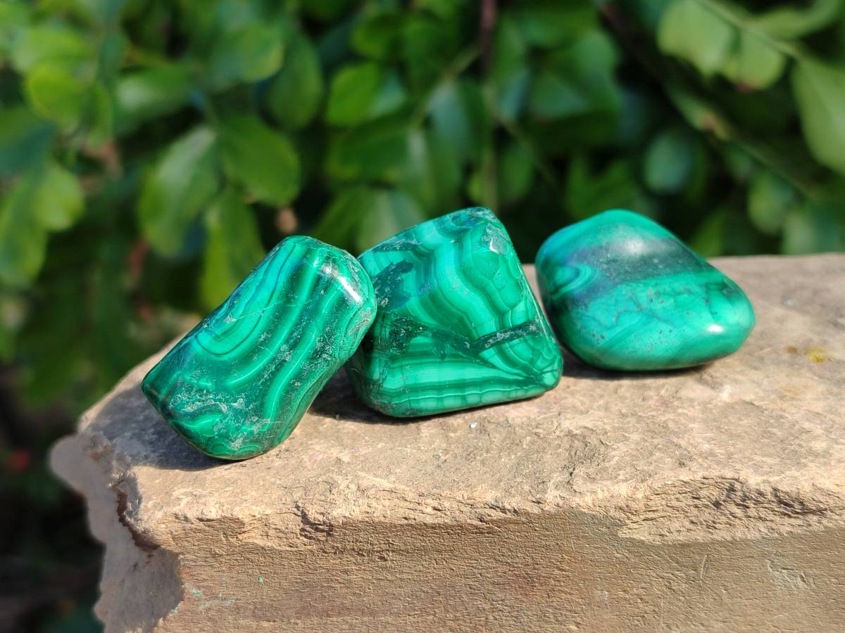 Polished Flower Banded Malachite Free Forms x 35 From Congo - Toprock Gemstones and Minerals 