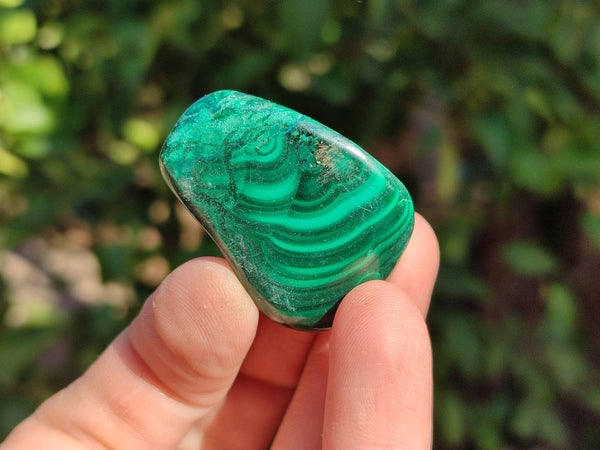 WEB TEMPLATE - MALACHITE FLOWER - Toprock Gemstones and Minerals 