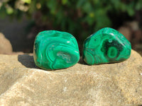 Polished Flower Banded Malachite Free Forms x 35 From Congo - Toprock Gemstones and Minerals 