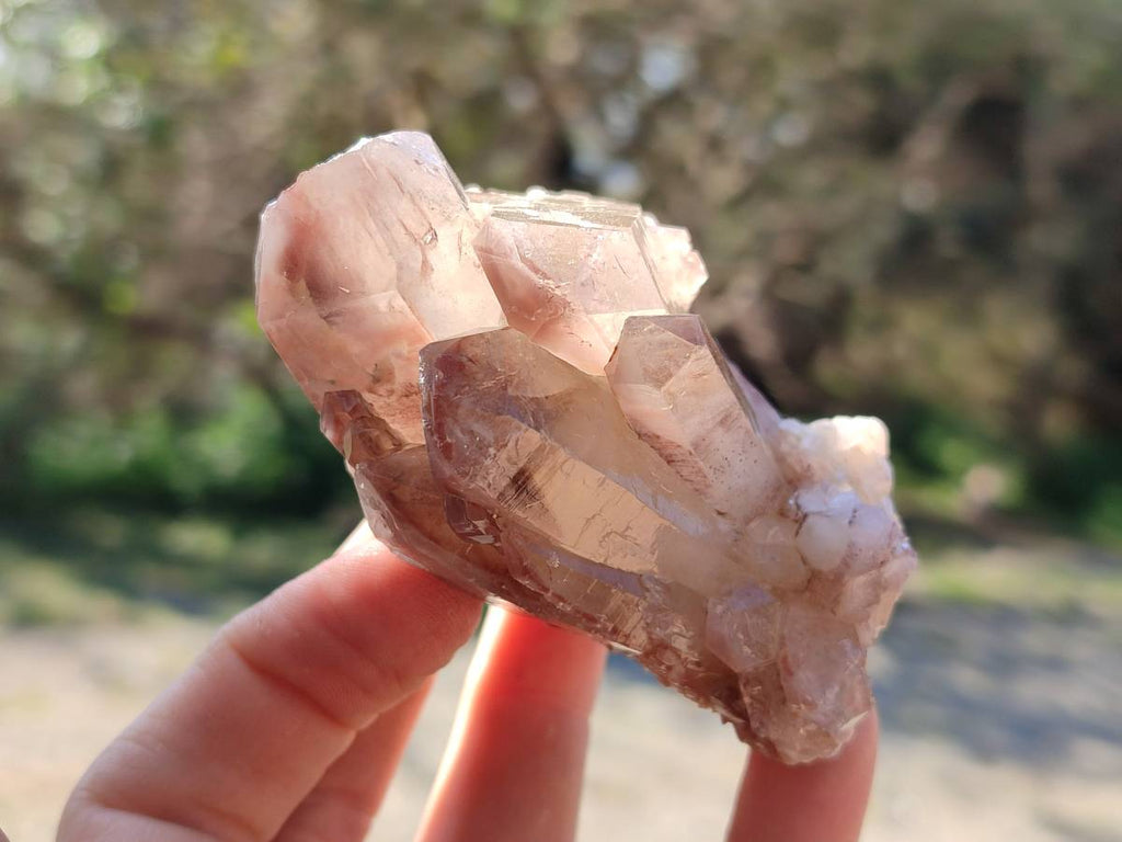 Natural Red Hematoid Quartz Crystals x 6 From Karoi, Zimbabwe - Toprock Gemstones and Minerals 