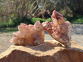 Natural Red Hematoid Quartz Crystals x 6 From Karoi, Zimbabwe - Toprock Gemstones and Minerals 