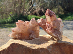Natural Red Hematoid Quartz Crystals x 6 From Karoi, Zimbabwe - Toprock Gemstones and Minerals 