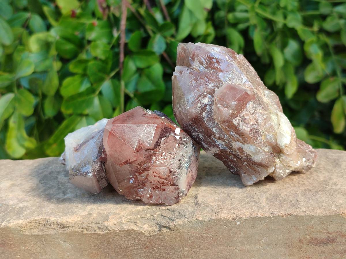 Natural Red Hematoid Quartz Crystals x 6 From Karoi, Zimbabwe - Toprock Gemstones and Minerals 