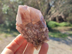 Natural Red Hematoid Quartz Crystals x 6 From Karoi, Zimbabwe - Toprock Gemstones and Minerals 