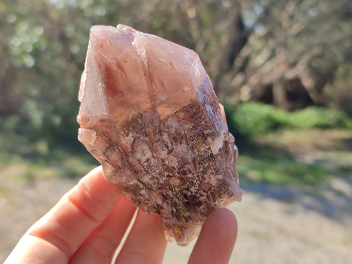 Natural Red Hematoid Quartz Crystals x 6 From Karoi, Zimbabwe - Toprock Gemstones and Minerals 