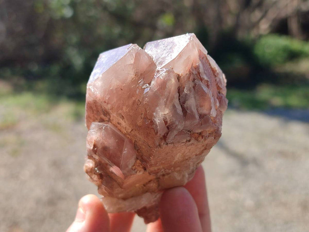 Natural Red Hematoid Quartz Crystals x 6 From Karoi, Zimbabwe - Toprock Gemstones and Minerals 