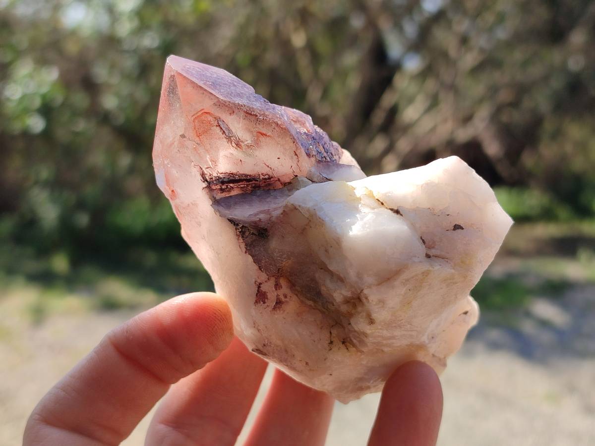 Natural Red Hematoid Quartz Crystals x 6 From Karoi, Zimbabwe - Toprock Gemstones and Minerals 