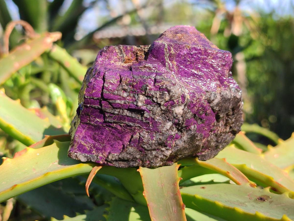 Natural Metallic Purpurite Specimens x 6 From Erongo, Namibia - Toprock Gemstones and Minerals 
