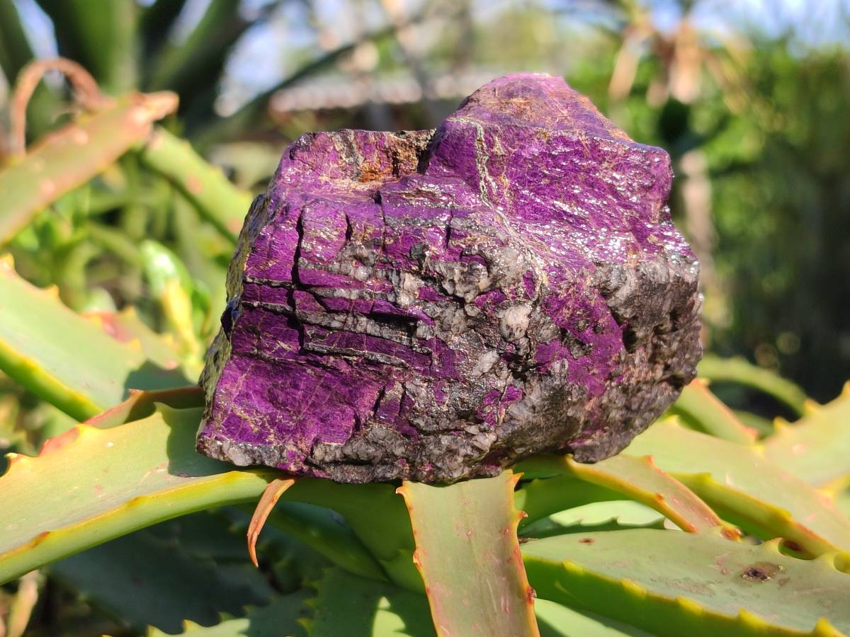 Natural Metallic Purpurite Specimens x 6 From Erongo, Namibia - Toprock Gemstones and Minerals 