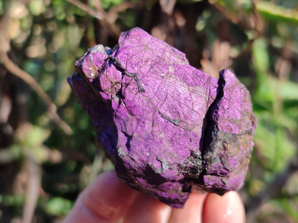 Natural Metallic Purpurite Specimens x 6 From Erongo, Namibia - Toprock Gemstones and Minerals 