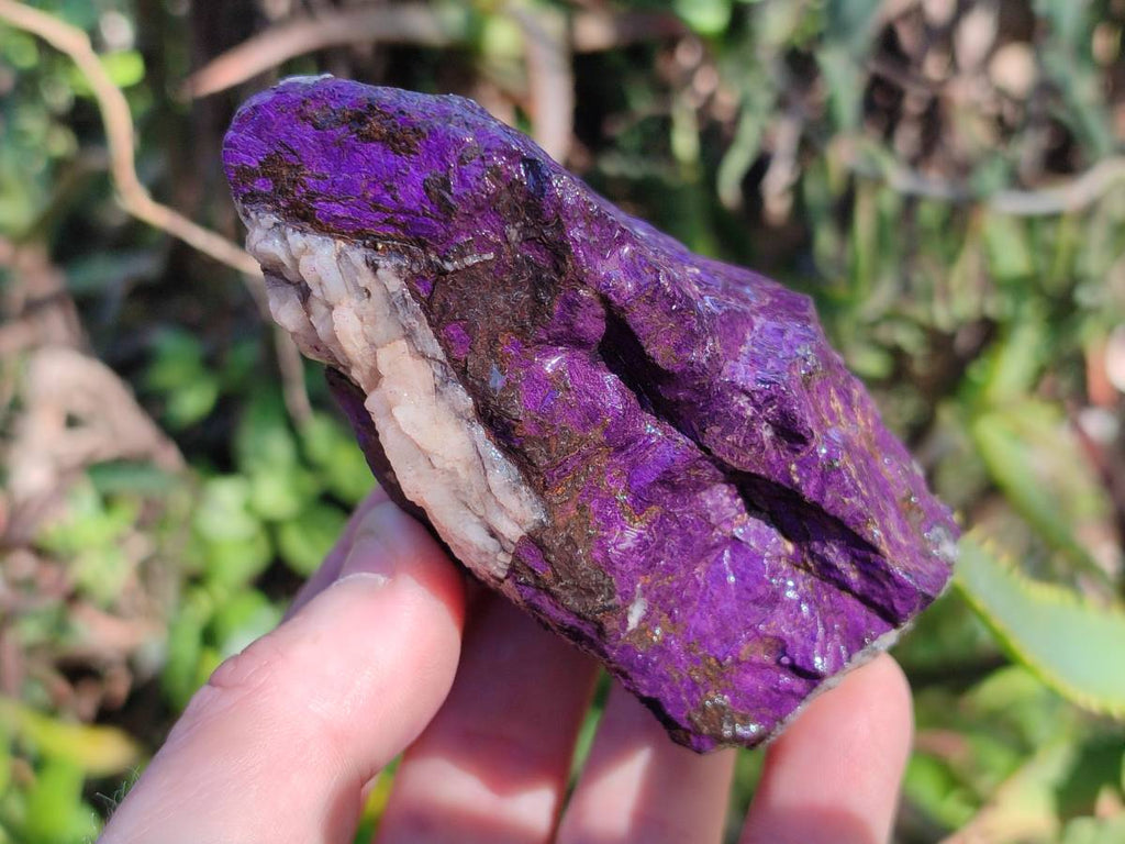Natural Metallic Purpurite Specimens x 6 From Erongo, Namibia - Toprock Gemstones and Minerals 