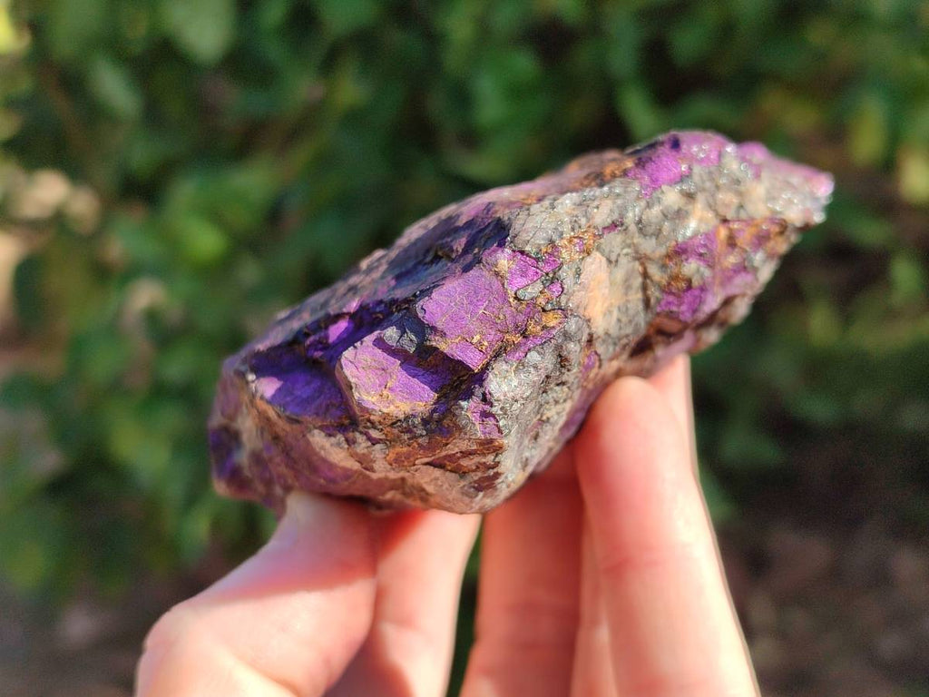 Natural Metallic Purpurite Specimens x 6 From Erongo, Namibia - Toprock Gemstones and Minerals 