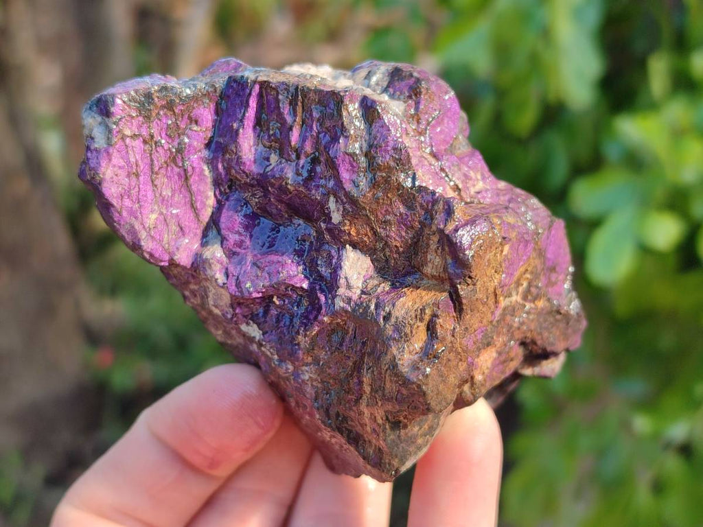 Natural Metallic Purpurite Specimens x 6 From Erongo, Namibia - Toprock Gemstones and Minerals 