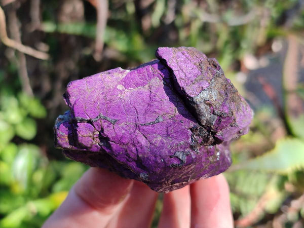 Natural Metallic Purpurite Specimens x 6 From Erongo, Namibia - Toprock Gemstones and Minerals 